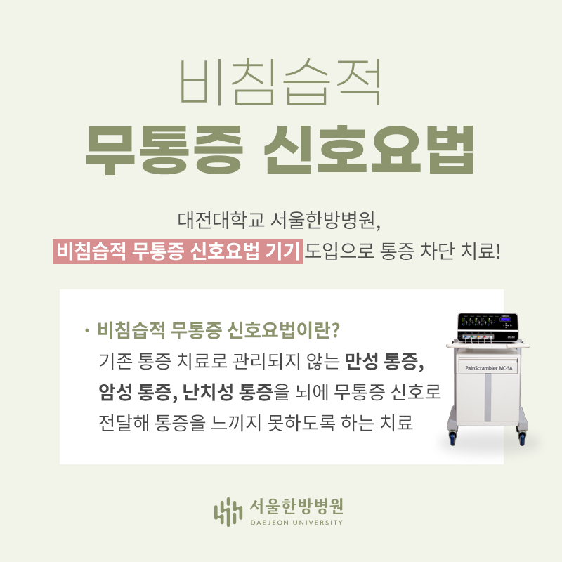 비침습적 무통증 신호요법
