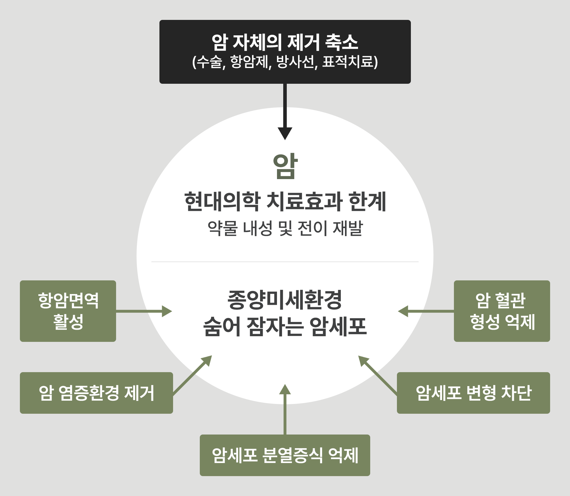 통합암치료 프로그램