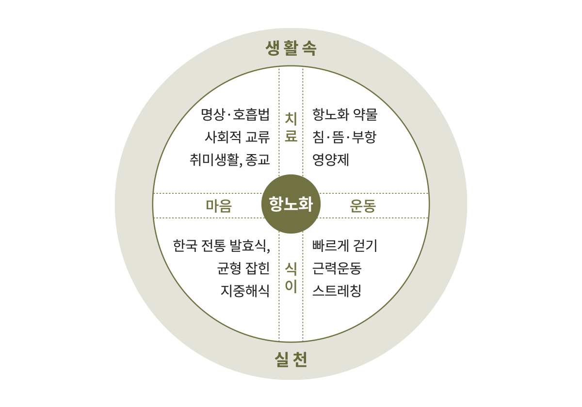 수레바퀴 항노화 균형 요법